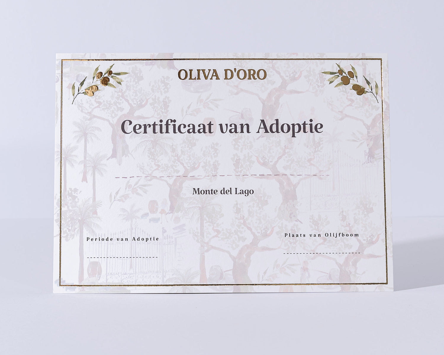 certificaat van adoptie olijfboom in italië