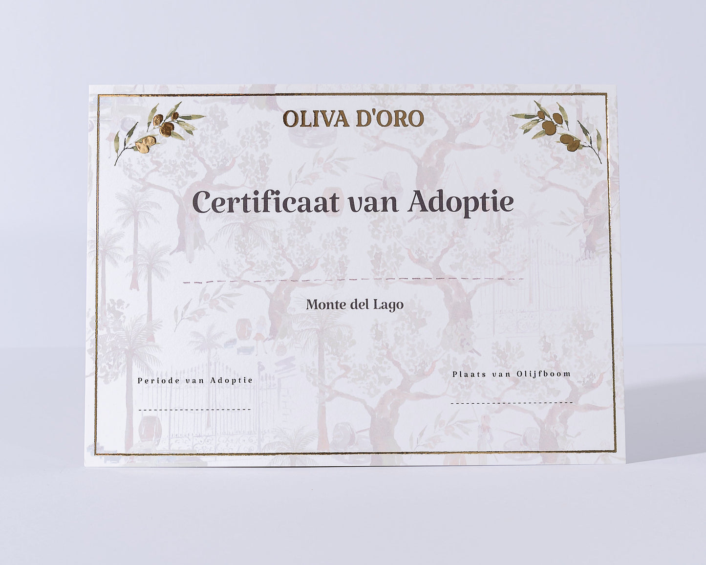 certificaat van adoptie olijfboom in italië