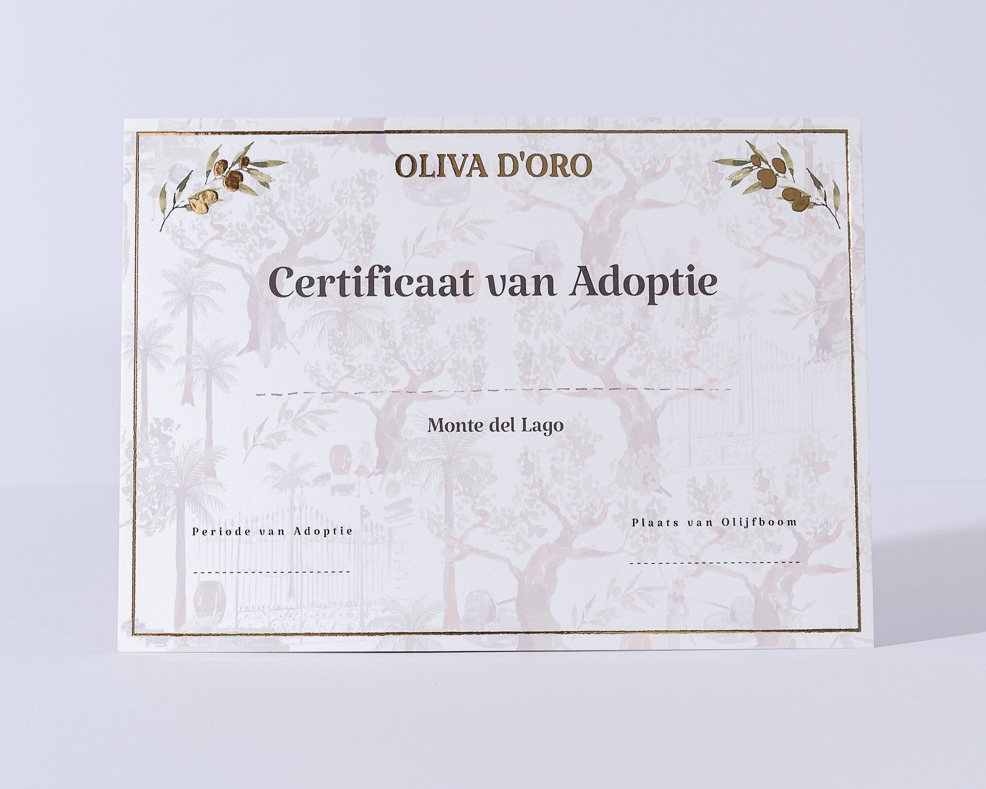 certificaat van adoptie olijfboom in italië